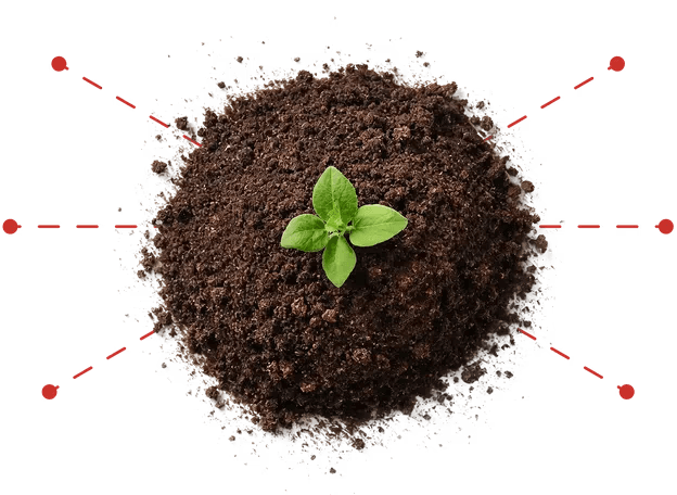 Regenerative organic certified soil with sprout
