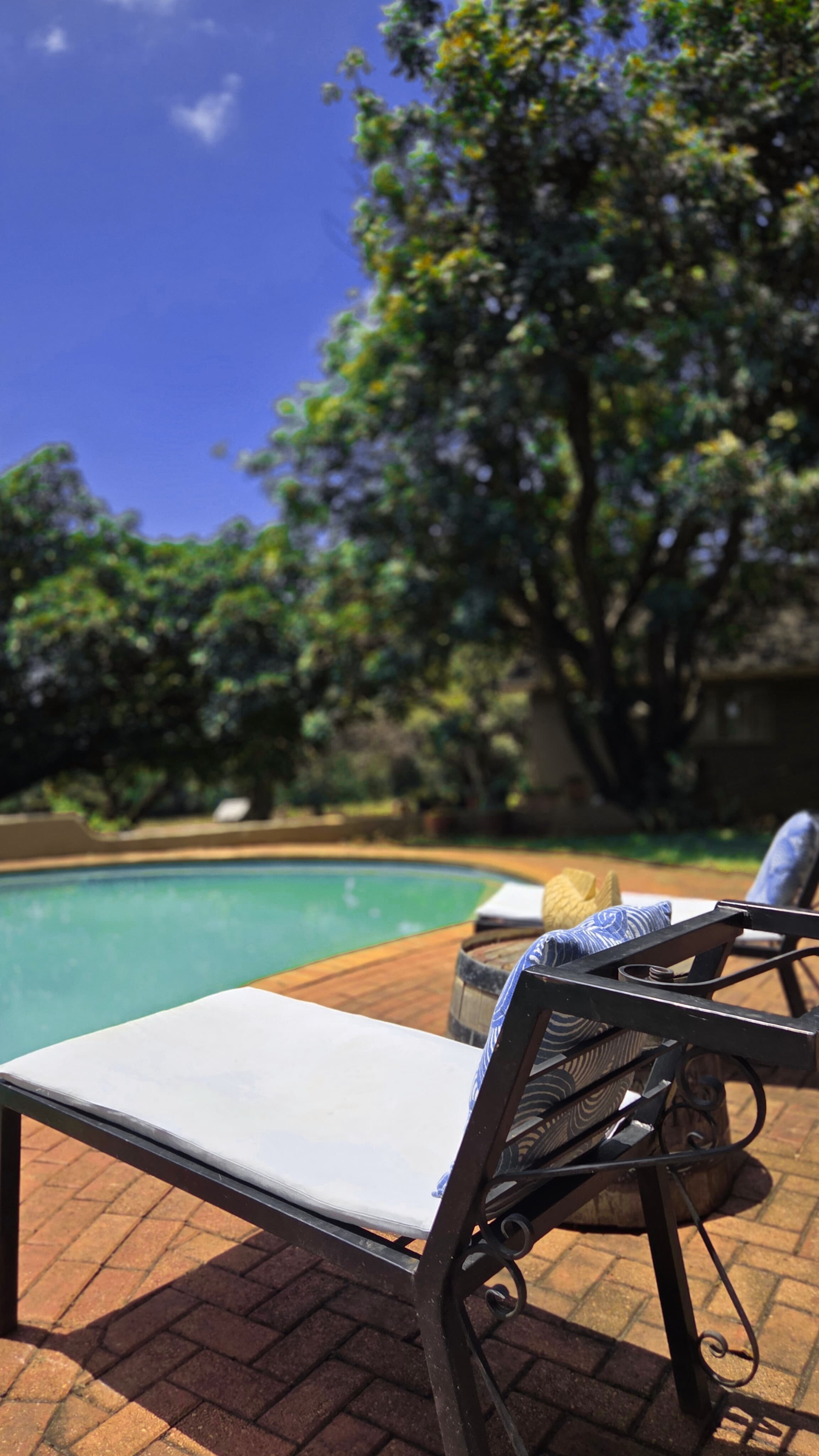 Kilimanjaro Elephant Ride, Arusha National Park, Tanzania – elefant i högt gräs tittar mot kameran, medan fem ryttare till häst på ridsafari i bakgrunden betraktar elefanten i ett grönt och frodigt landskap.