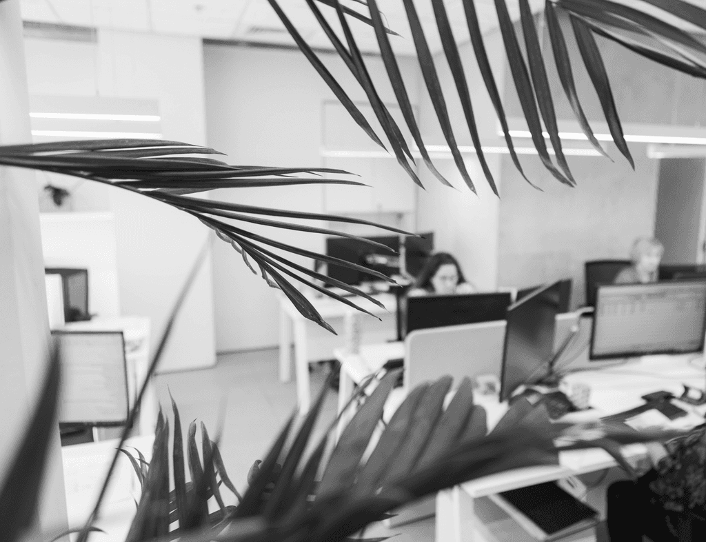 חדר העבודה המרכזי של החברה שברקע צמחייה