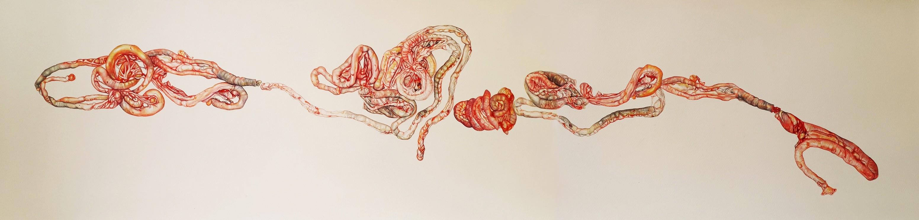 herd of sheep on road painting