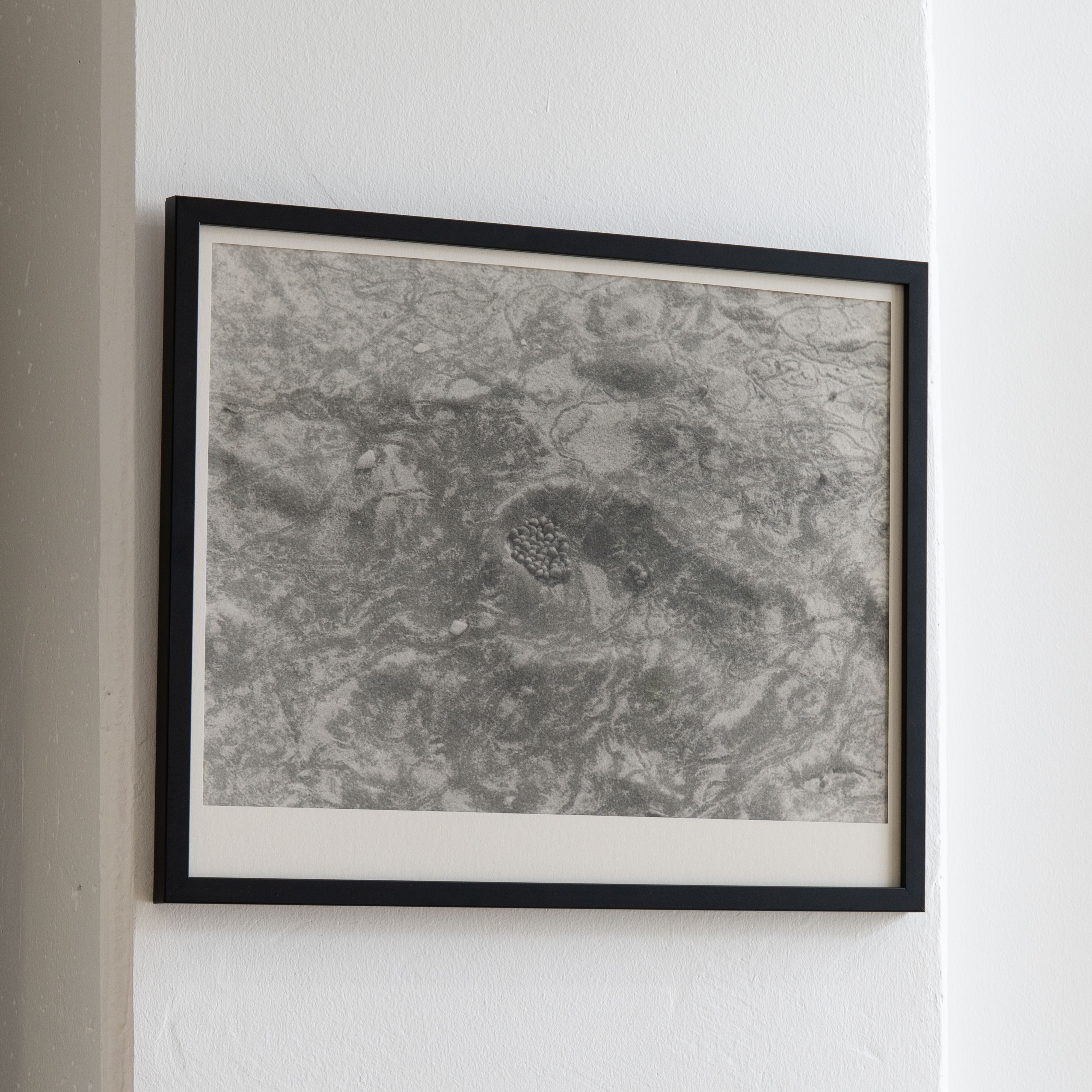 Darkroom prints drying on wire racks