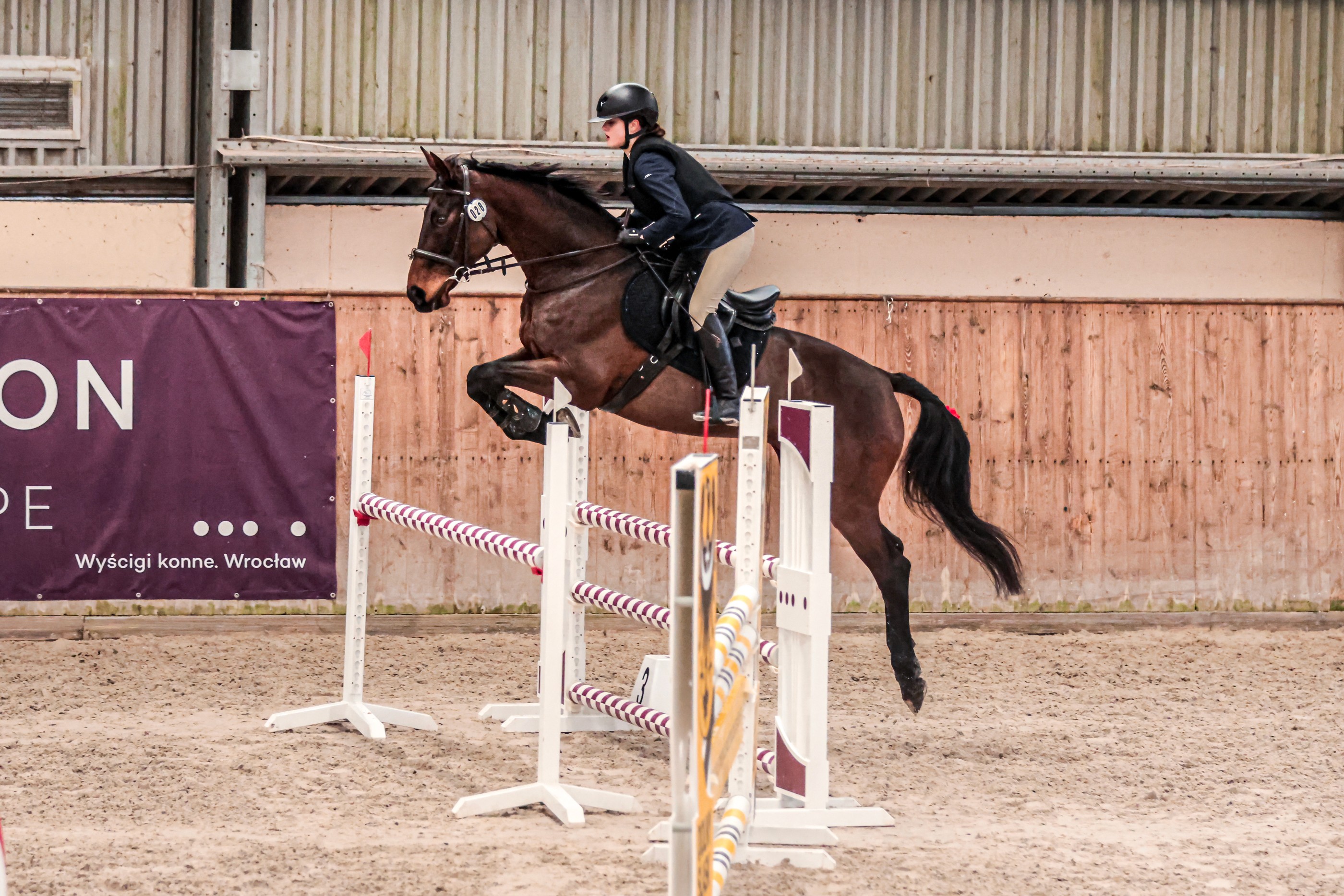 2016 Taloubet Z en Christian Ahlmann Rio@Arnd Bronkhorst