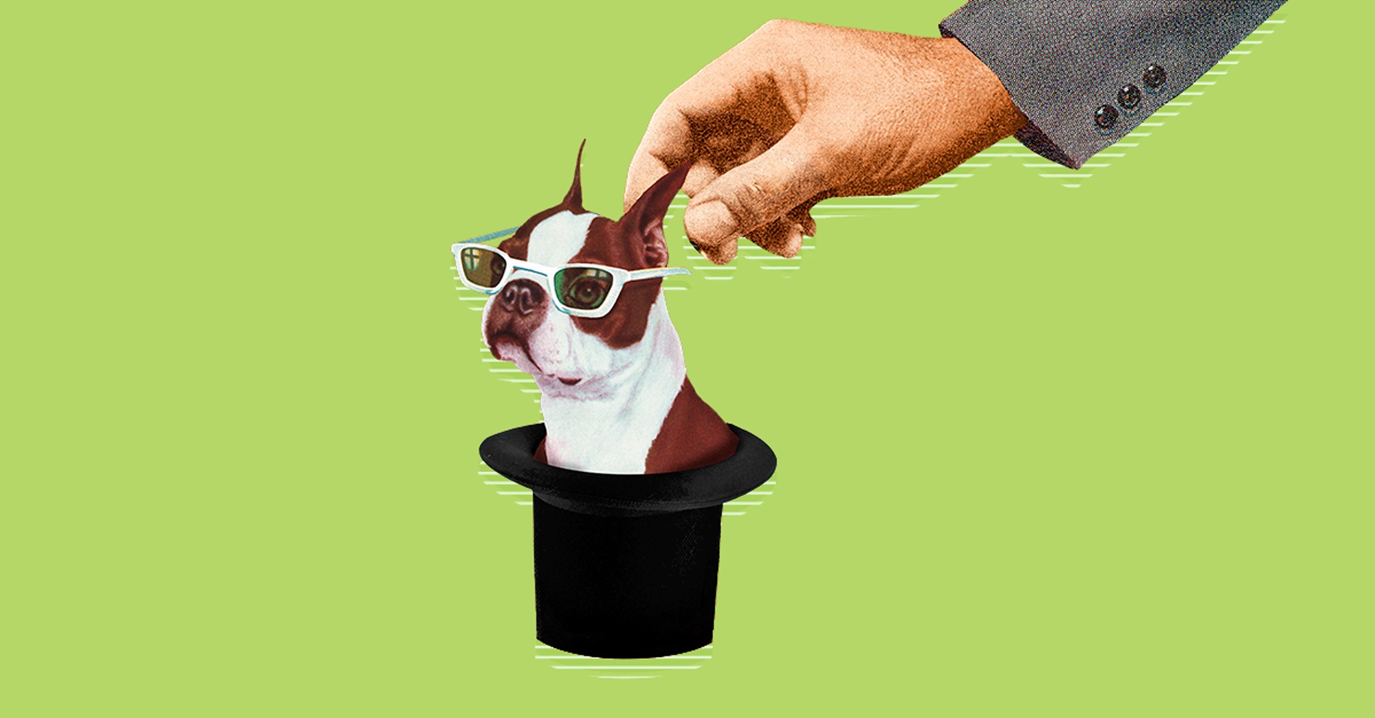 Perro con gafas saliendo de un sombrero mágico siendo sujetado por una mano.