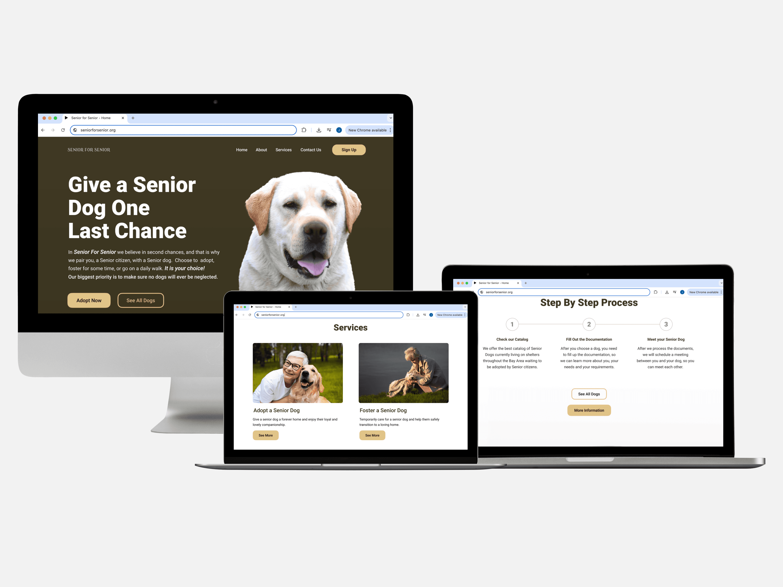 3 mockups of the website
