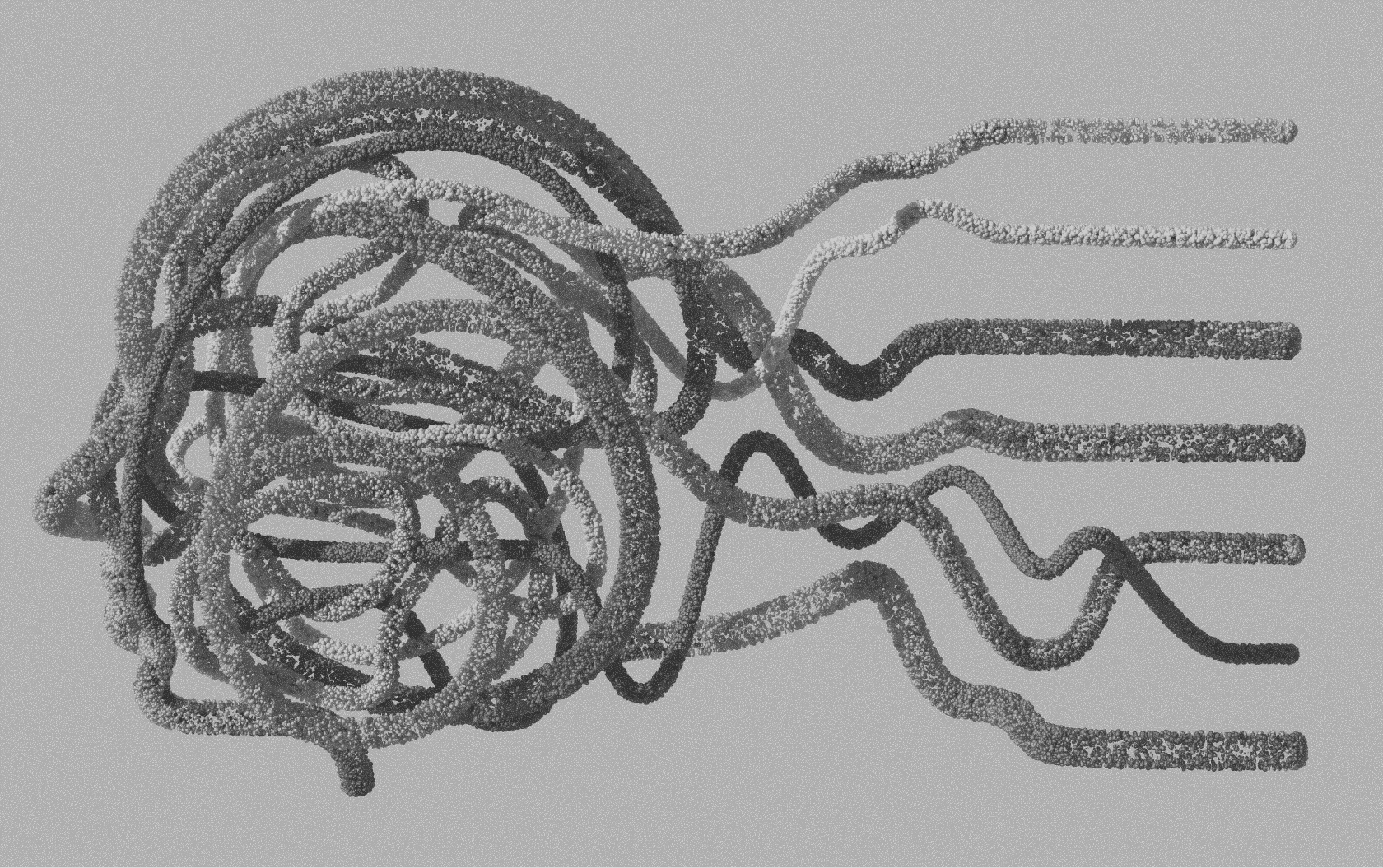 A tangled nest of flowing tubular lines forming a loose chaotic circular shape