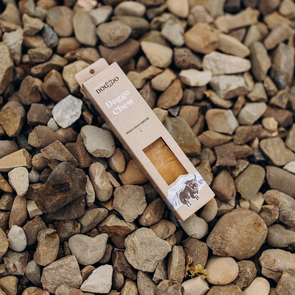 Modern home office setup with a monitor, ergonomic chair, keyboard, and indoor plants near a window with blinds.
