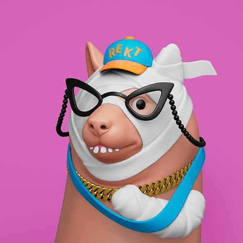 Shiba Inu broken arm