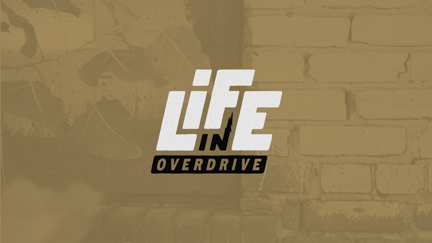 Image of the Life in Overdrive logo on a photographic background