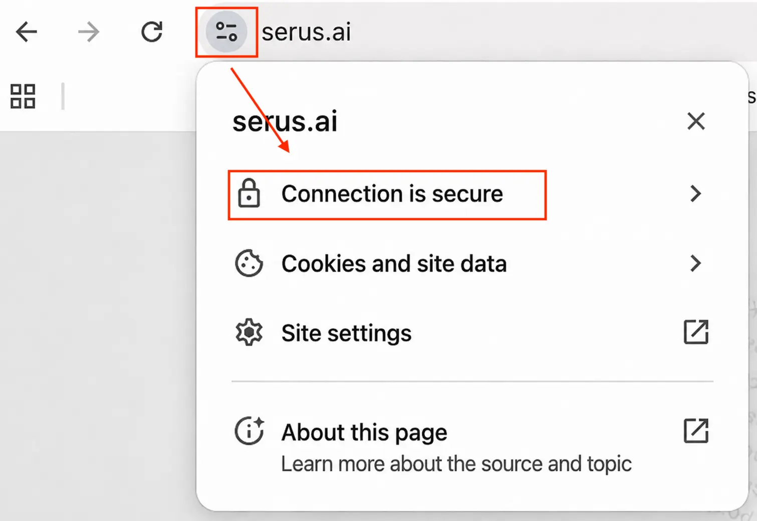 Screenshot from Google Chrome browser showing a safe connection
