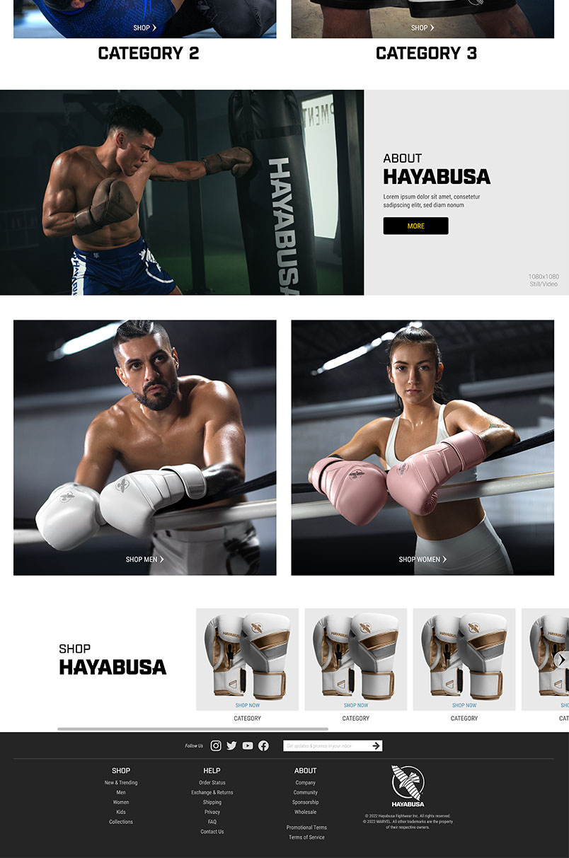 Homepage part 2