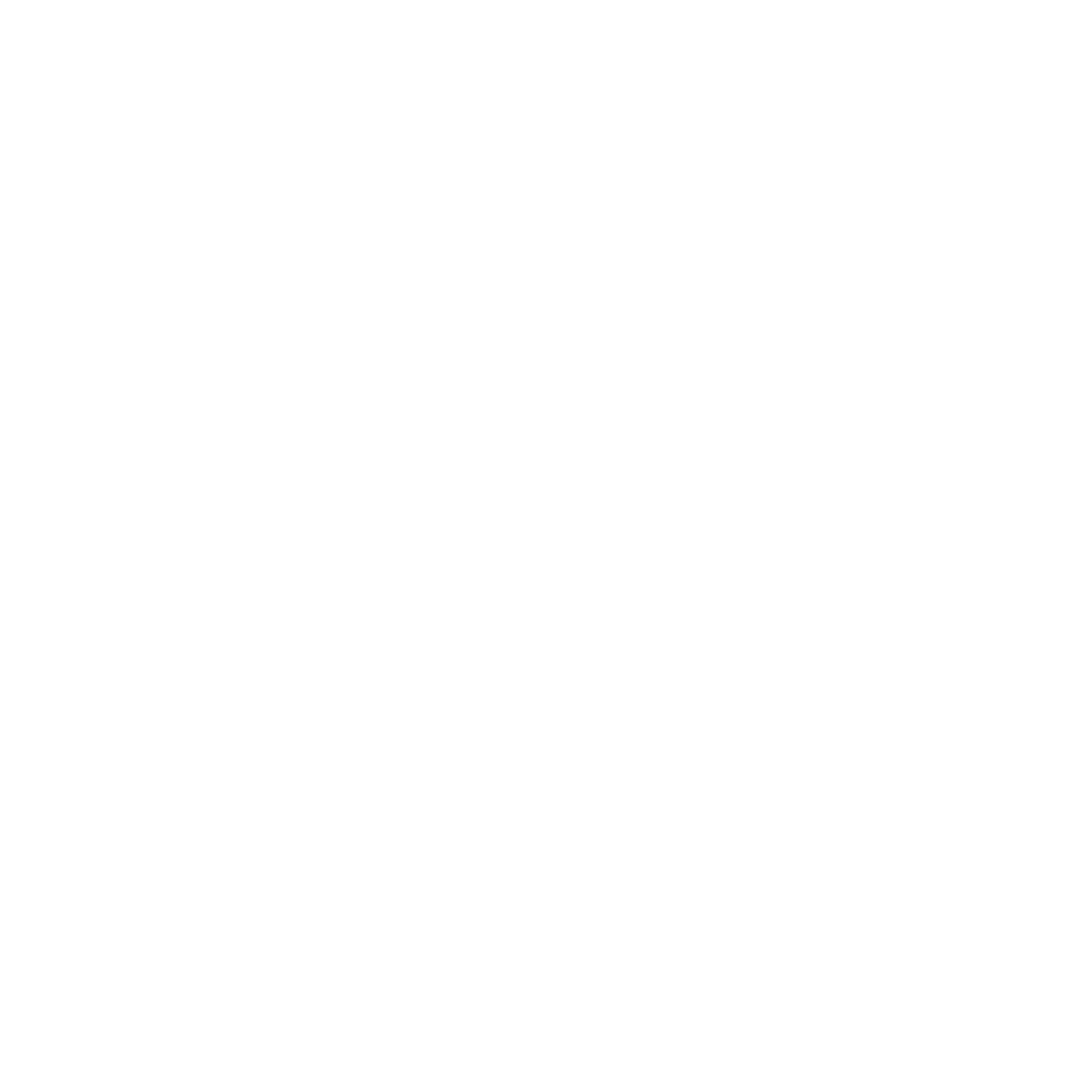 Blue Dragon Martial Arts logo