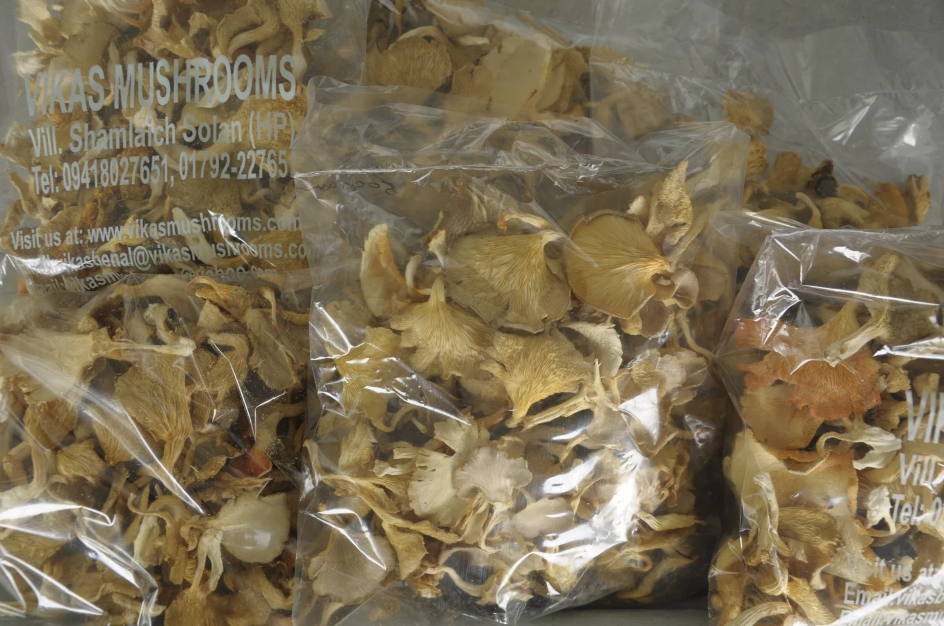 Sun-dried Oyster Mushroom