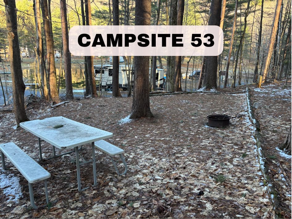 Wooded campsite 53 with a picnic table, fire ring, and a view of the pond through the trees