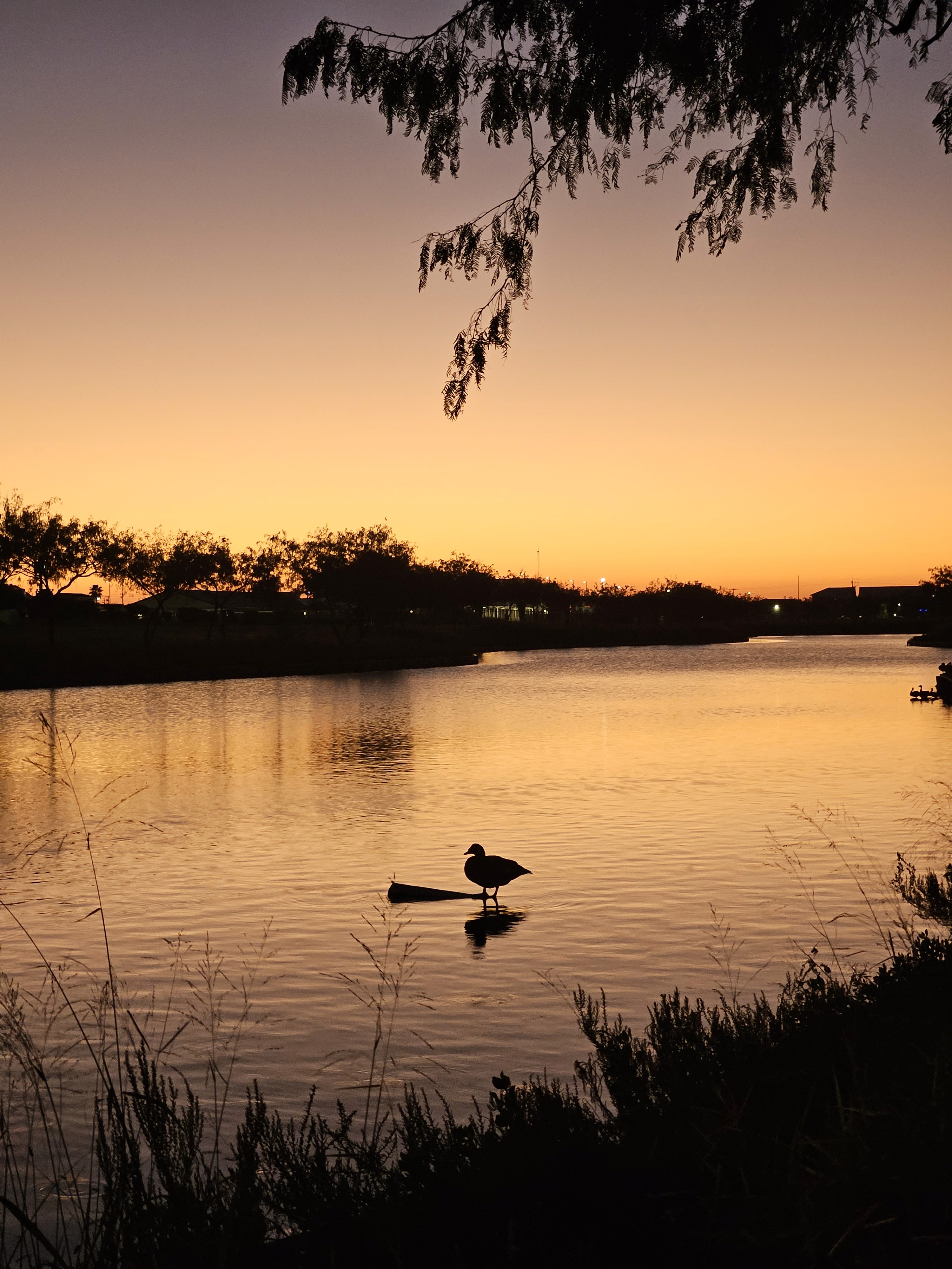 a person sitting in a yellow boat on a river