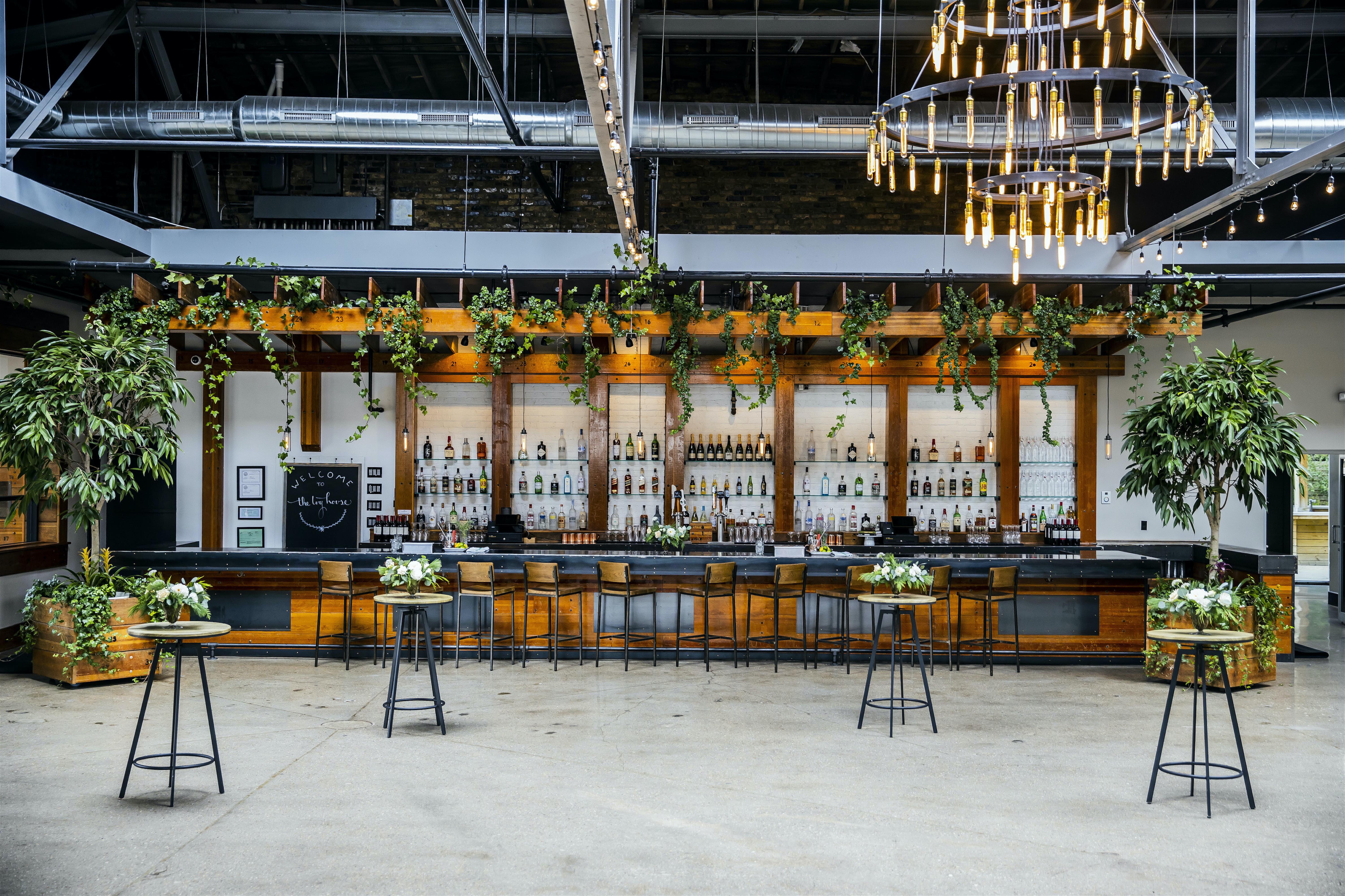 The Ivy House Milwaukee wedding venue with greenhouse style interior, natural light, and lush greenery