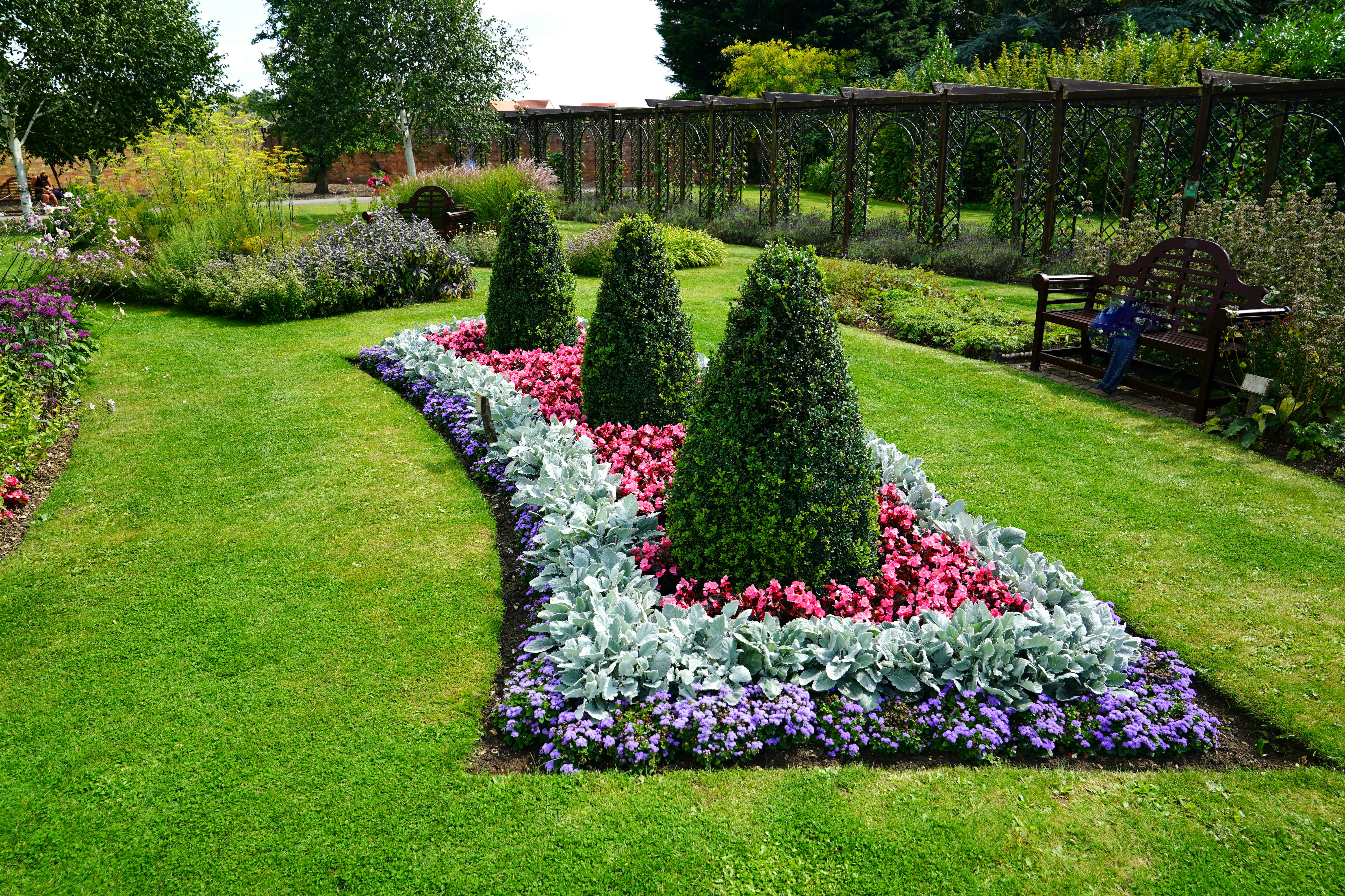 a garden with flowers and bushes
