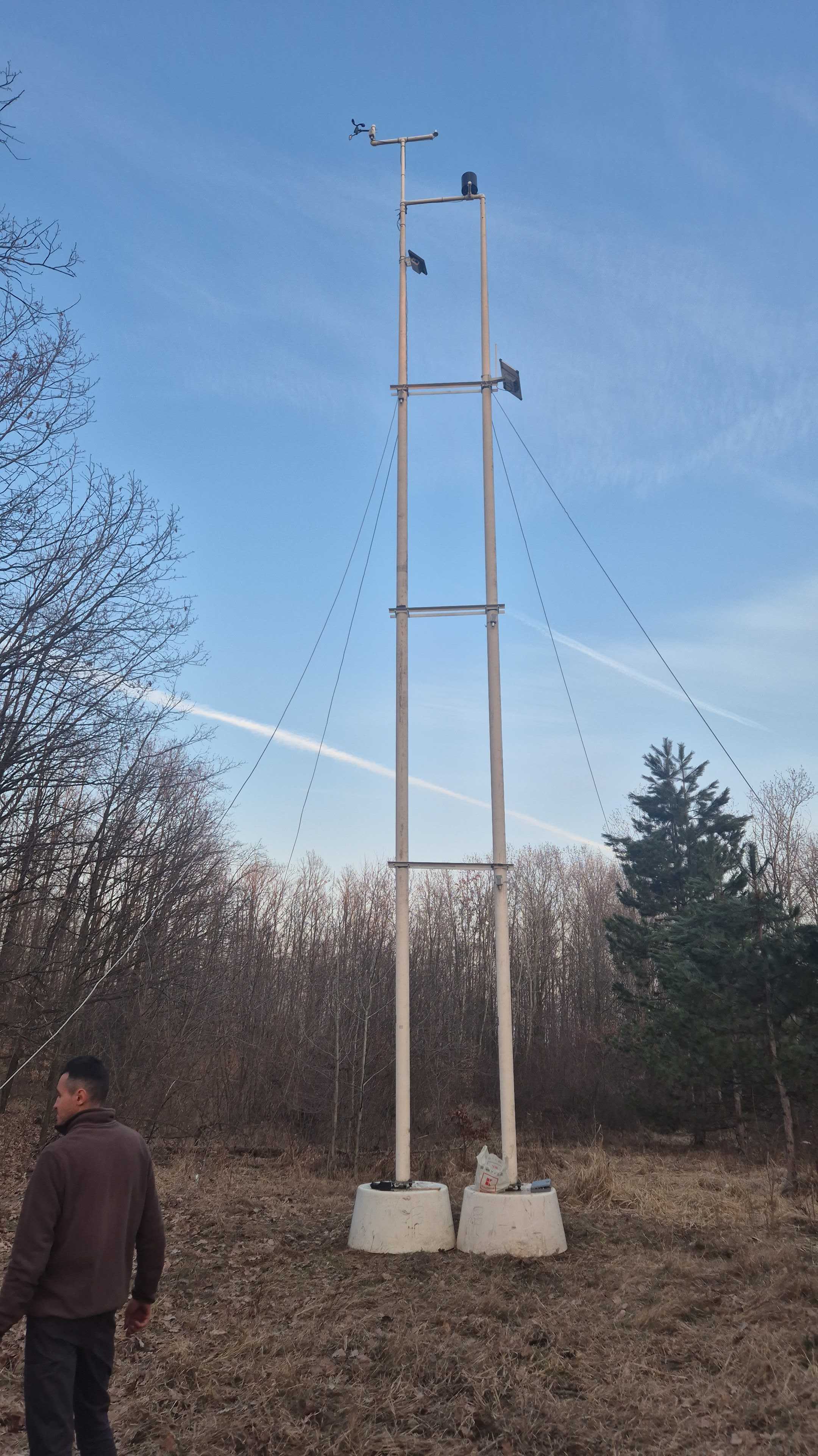 Completed sensor masts standing above the forest at the Silvador site