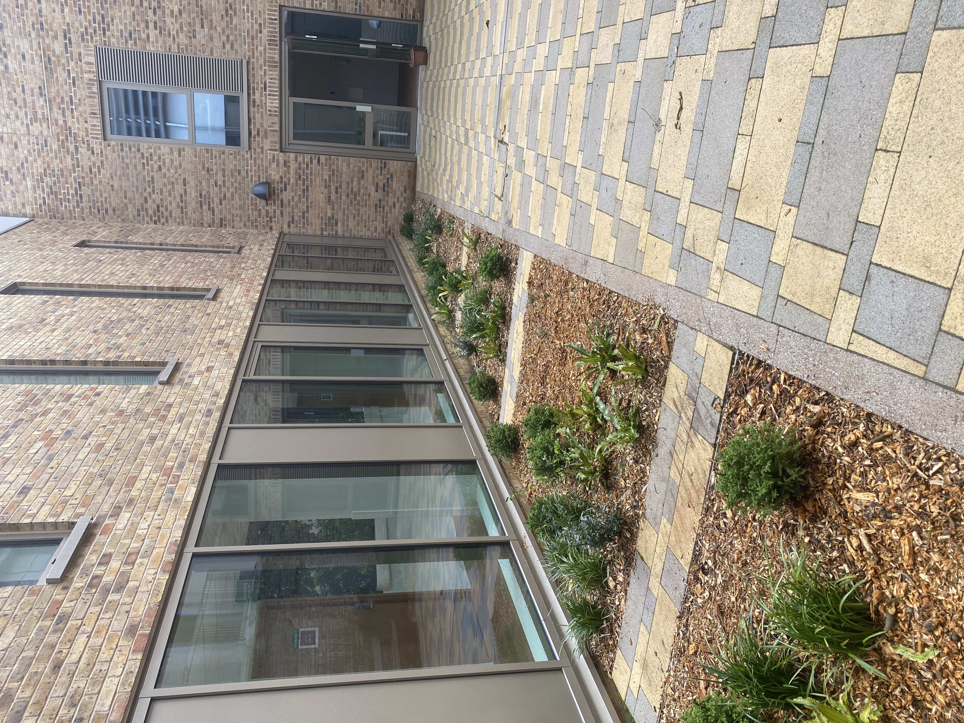 Backyard clearance: Transformation from wild brush to a neat family lawn in High Wycombe