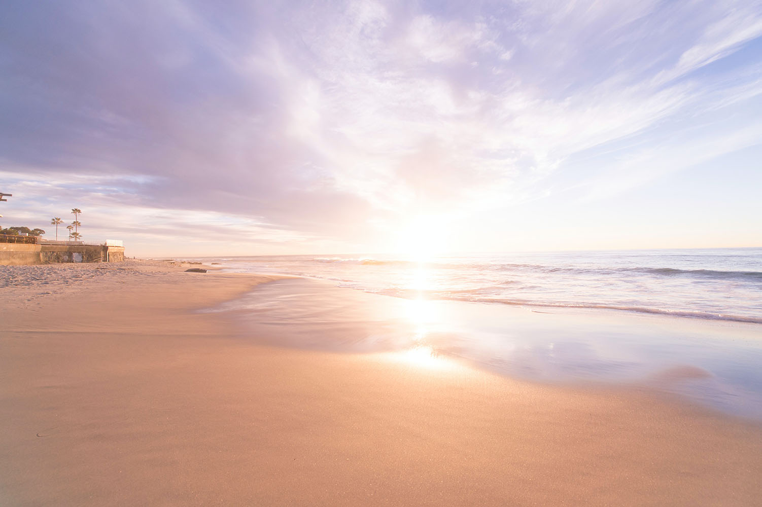 Photo by Frank Mckenna on Unsplash