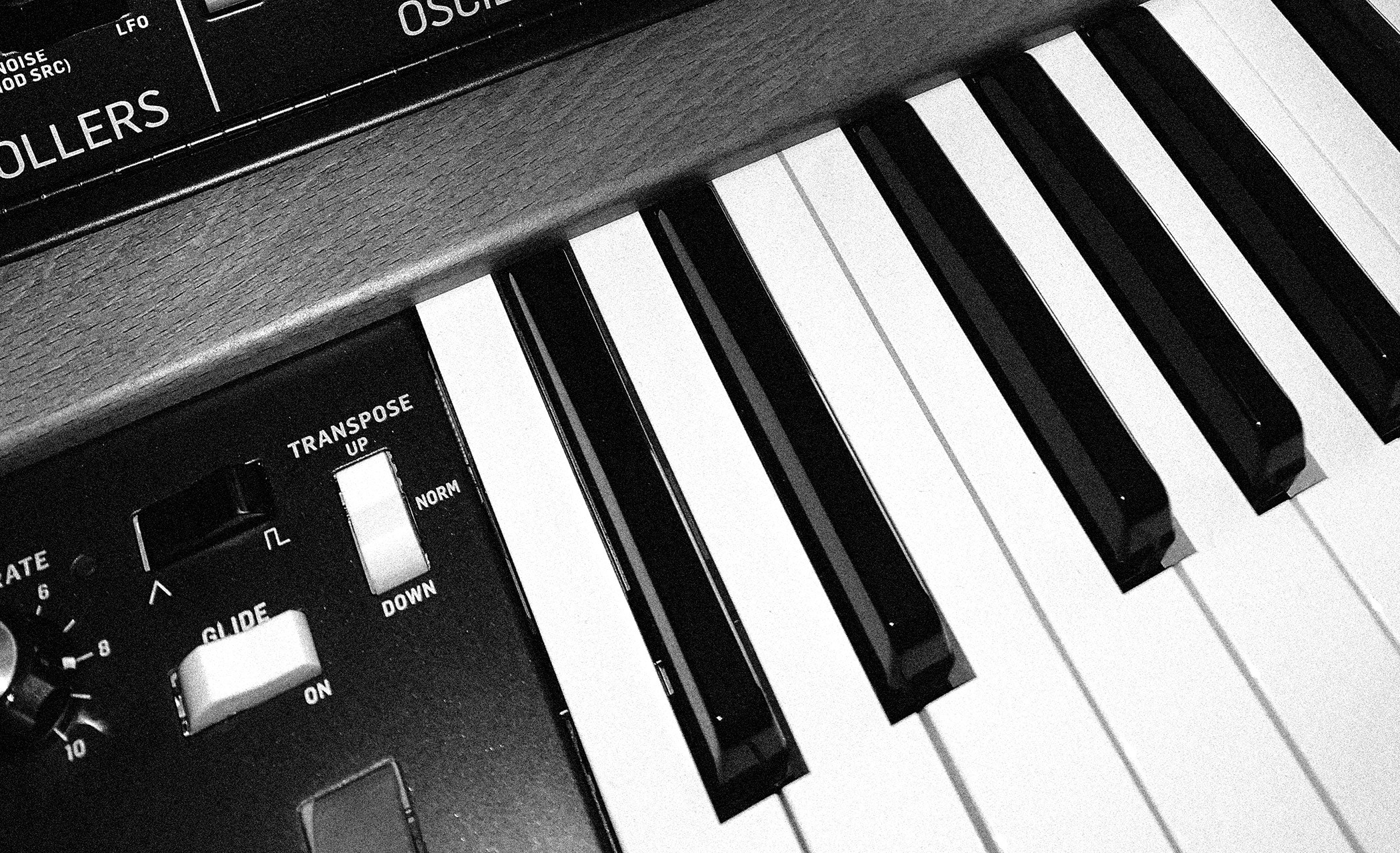 Behringer Poly D analog synthesizer close-up