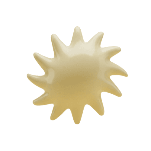 Vector