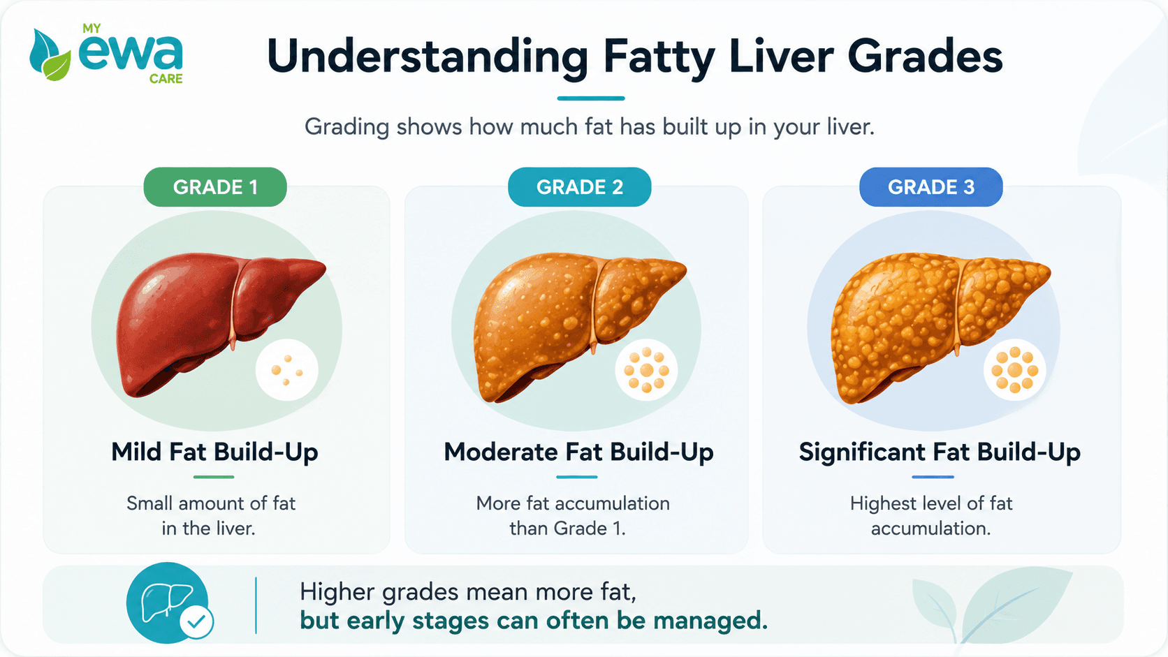 Grade 1 fatty liver vs grade 2 and grade 3 liver fat comparison&nbsp;