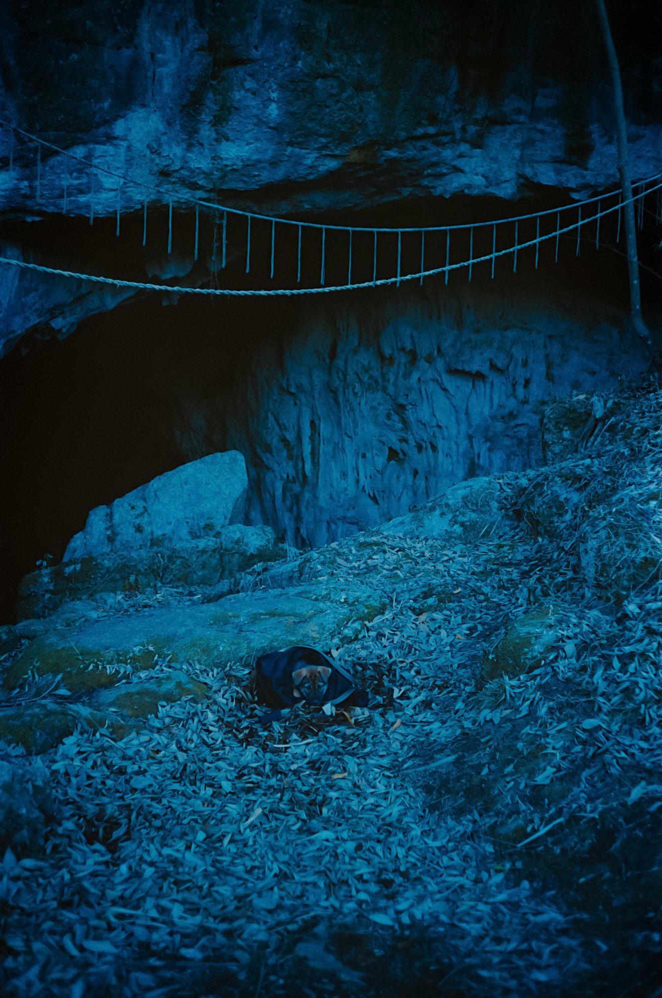 Taisei Matsumoto, archive random photograph 047