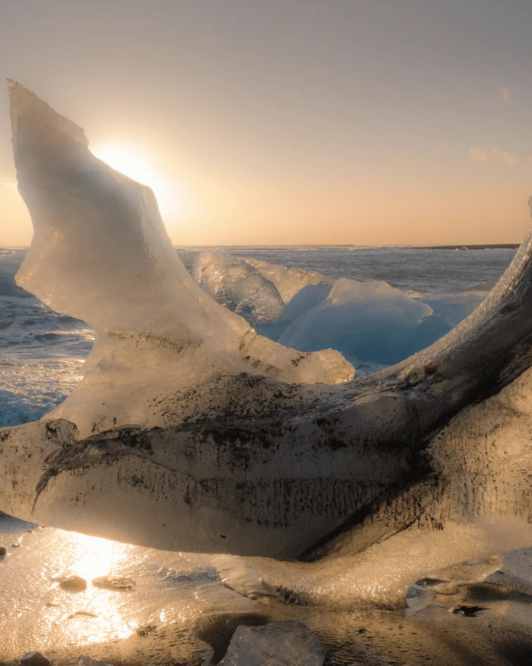 A large chunk of clear glacial ice resting on the shore of Diamond Beach in Iceland during sunset