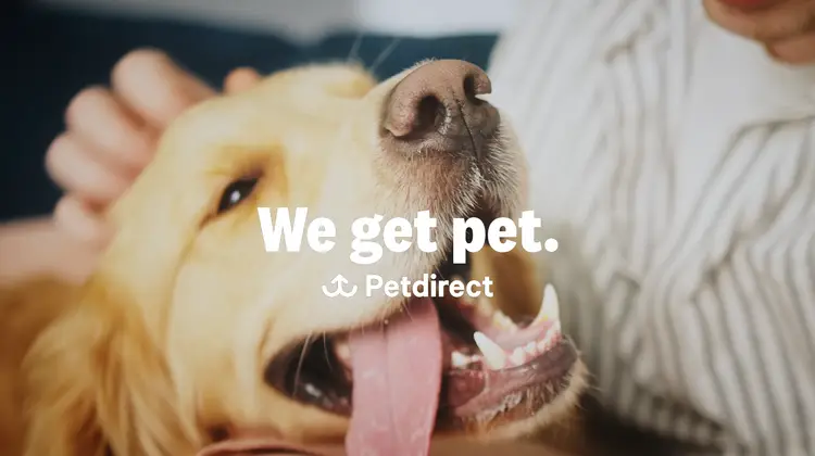 A golden retriever gets patted as we see the Petdirect logo