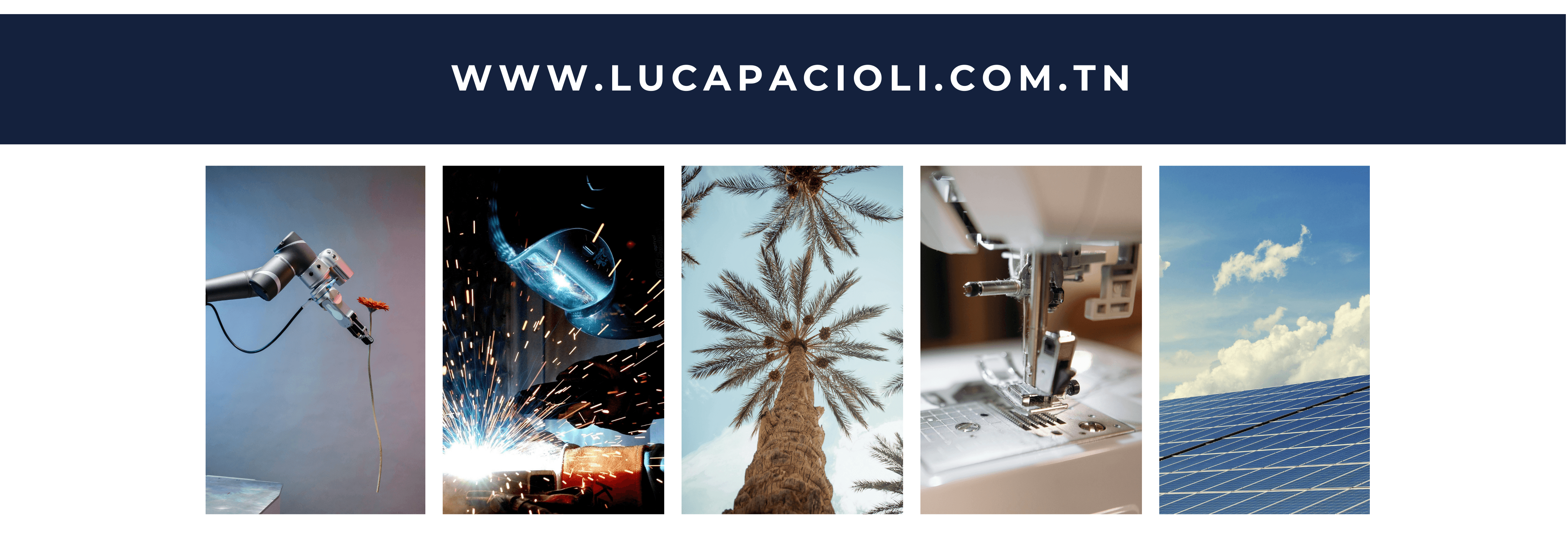 luca pacioli expert comptable tunisie