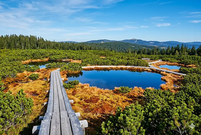 Blue sky reflecting in the lakes in Pohorje, with a wooden path leading through the marshland.