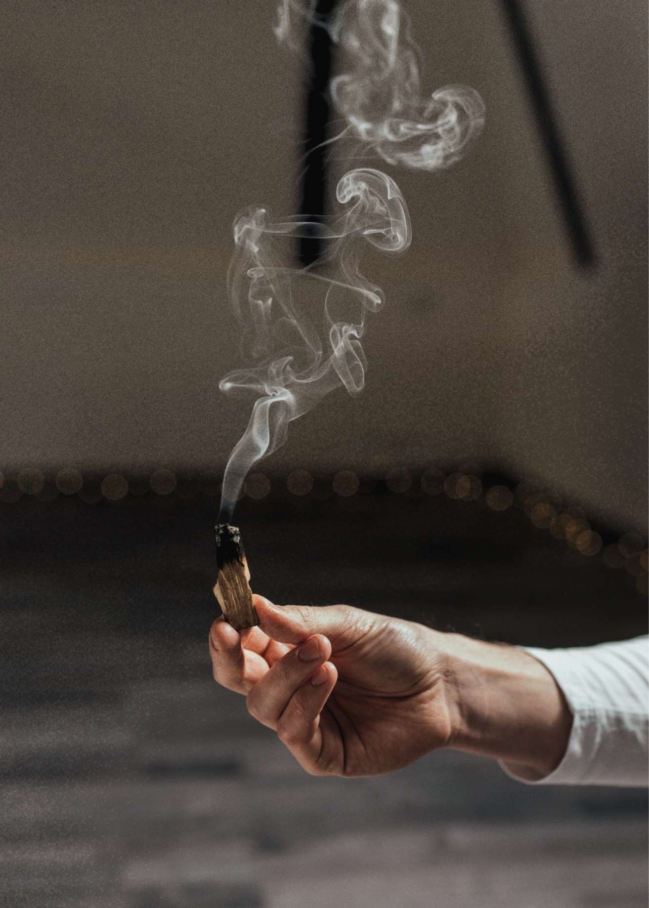 Hand holding burning palo santo with rising smoke for State of Soma’s holistic wellness brand imagery.