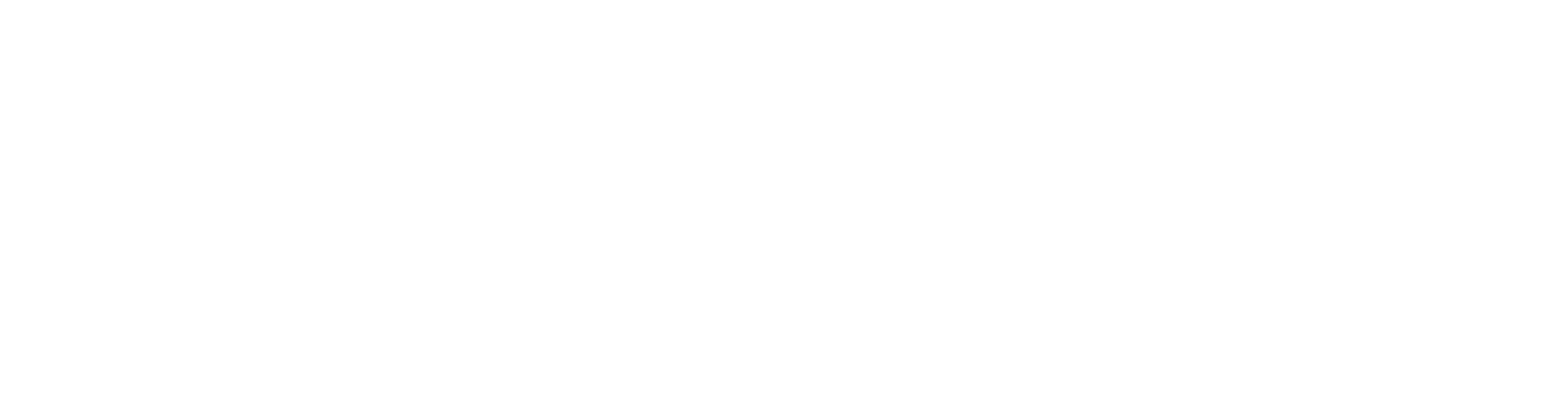 Logo Emilia Informatica