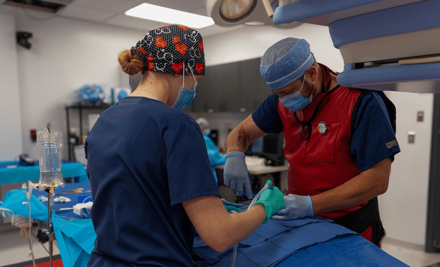 GLP preclinical research team performing cardiovascular device testing in Synchrony Labs surgical suite