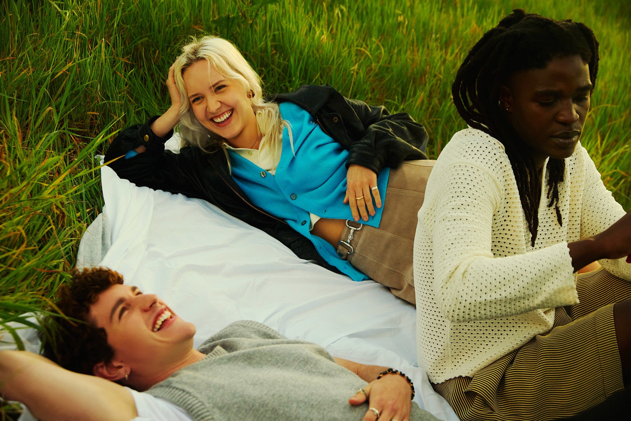 Various dried flowers and plants arranged on a light background.