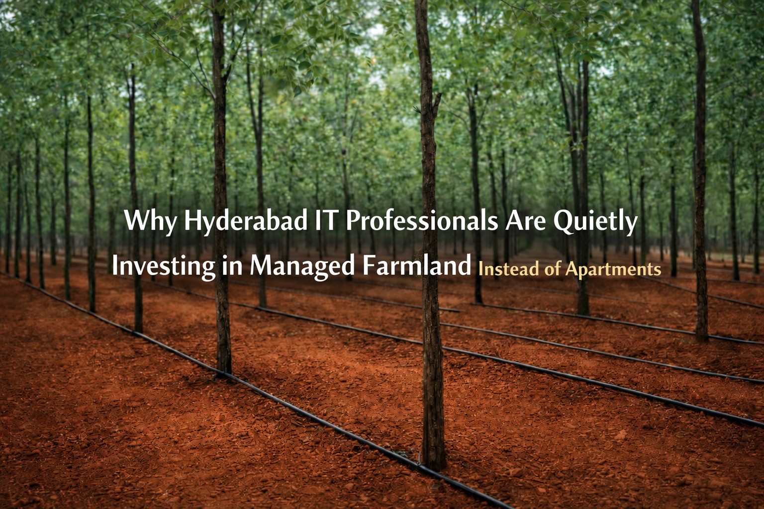Why Hyderabad IT Professionals Are Quietly Investing in Managed Farmland Instead of Apartments blog cover by Charan Group