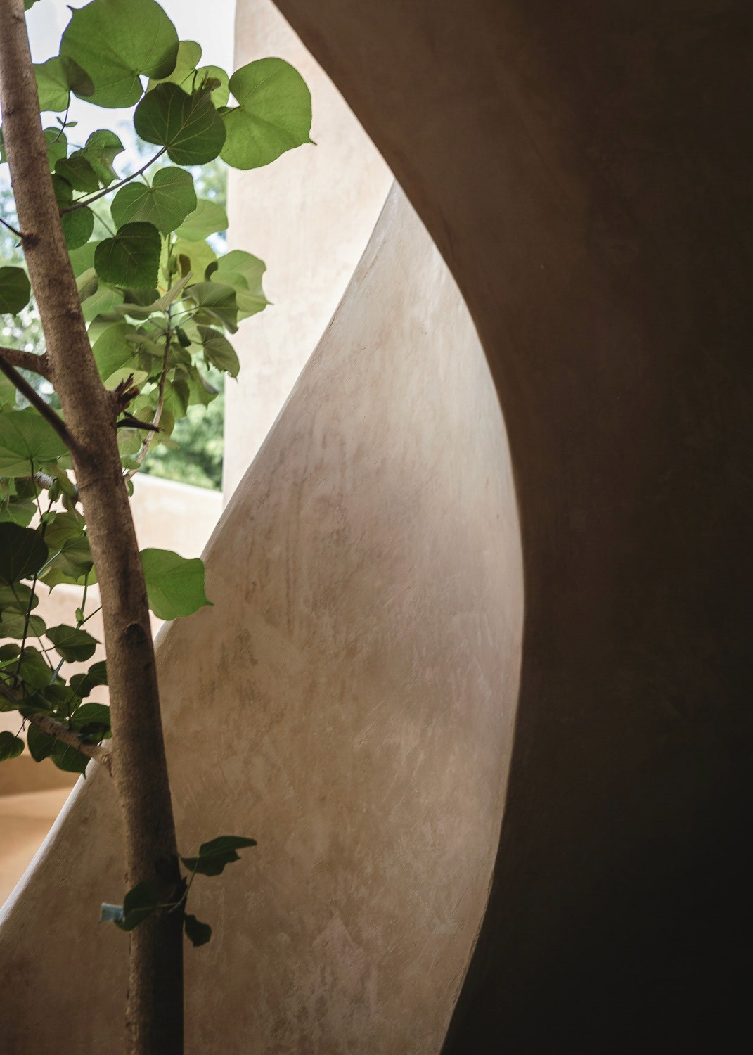 Imagen de Villa Petit Comite