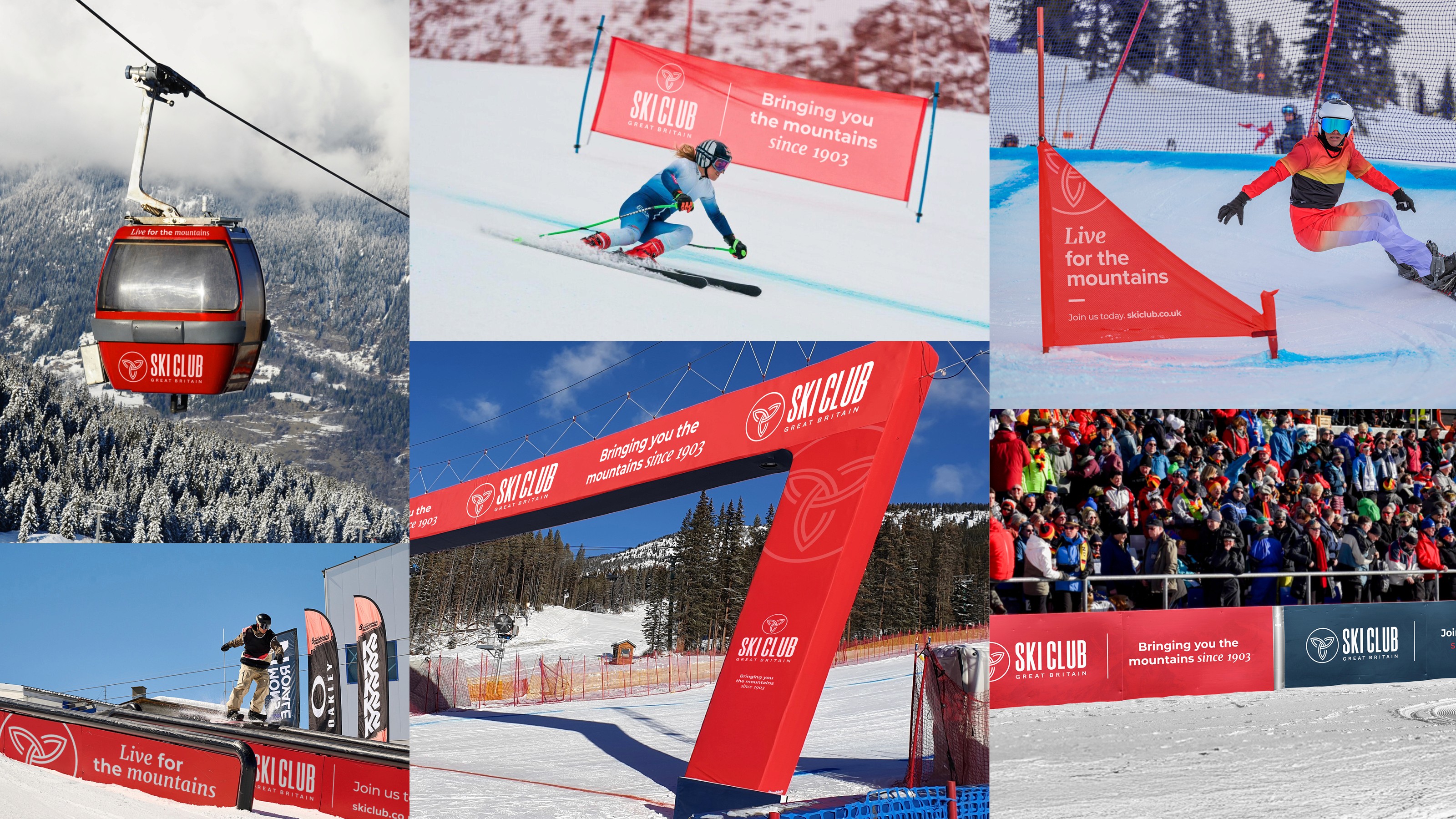 Modern home office setup with a monitor, ergonomic chair, keyboard, and indoor plants near a window with blinds.