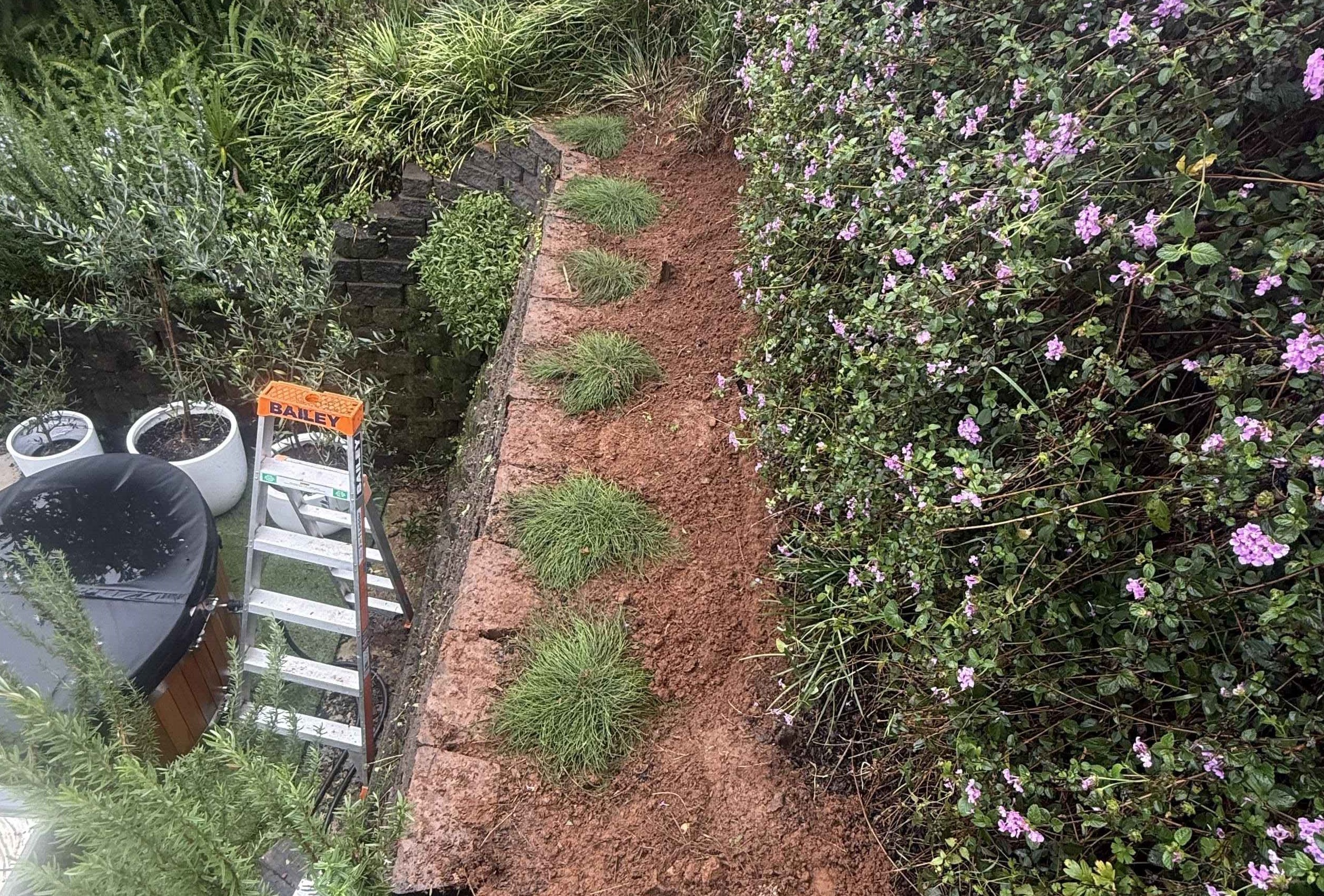 Garden bed mulching and planting service completed residential property Gold Coast by Hepburn Property Maintenance