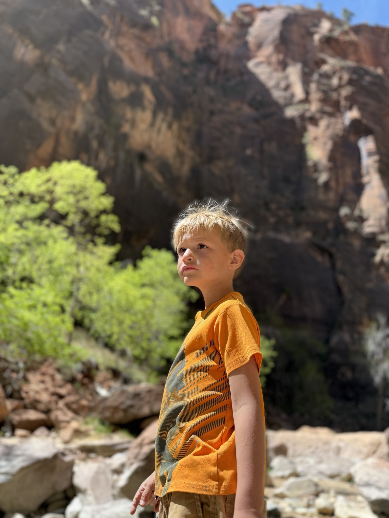 Hyrum looking up at the canyon walls in Zion National Park