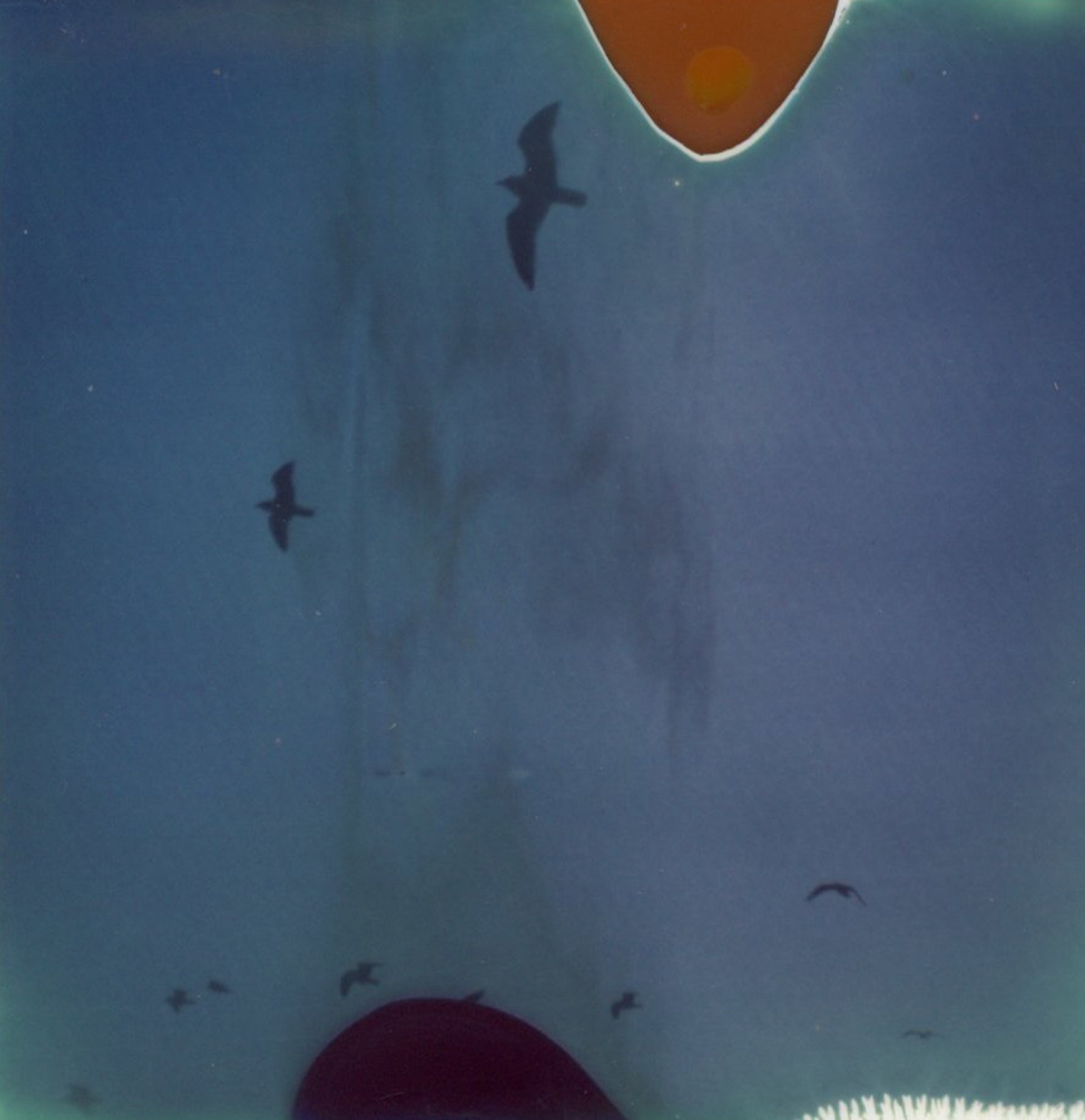 Photograph by Jacquelyne Pierson