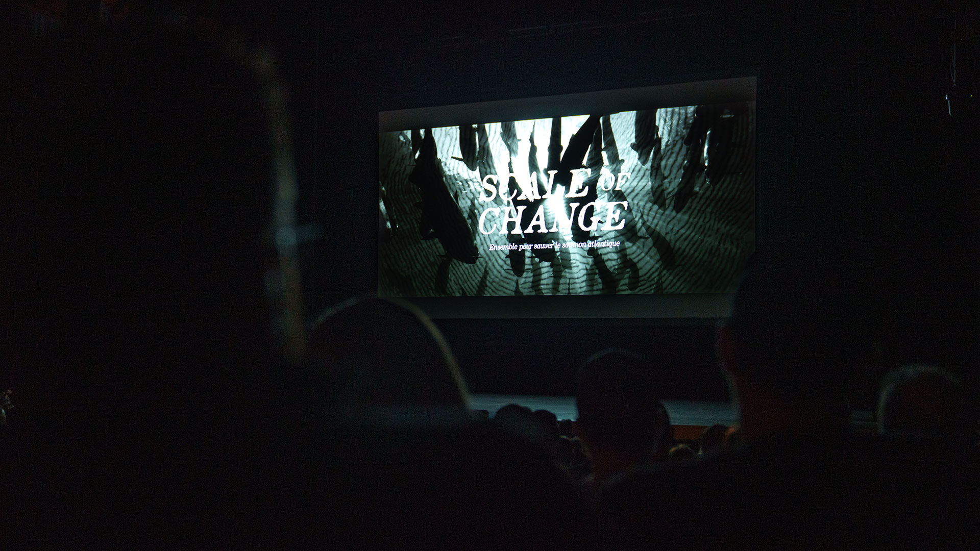 scale of change film screening in cinema 2025