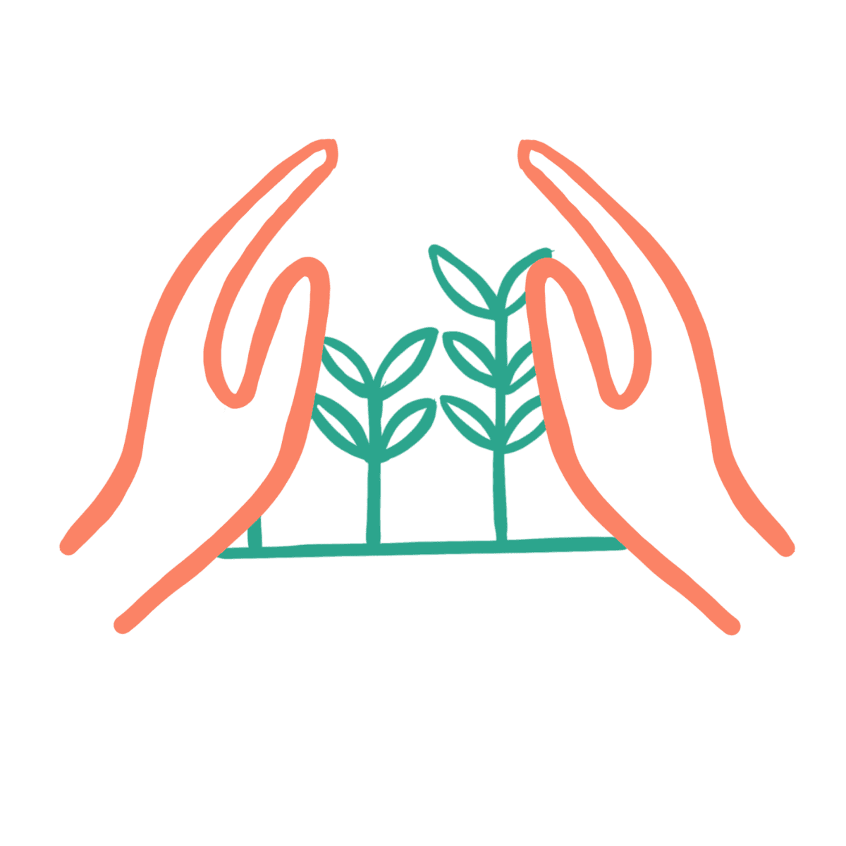 Maintaining Organic Certification Illustration