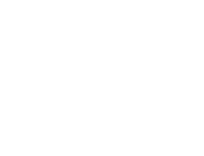 usf logo
