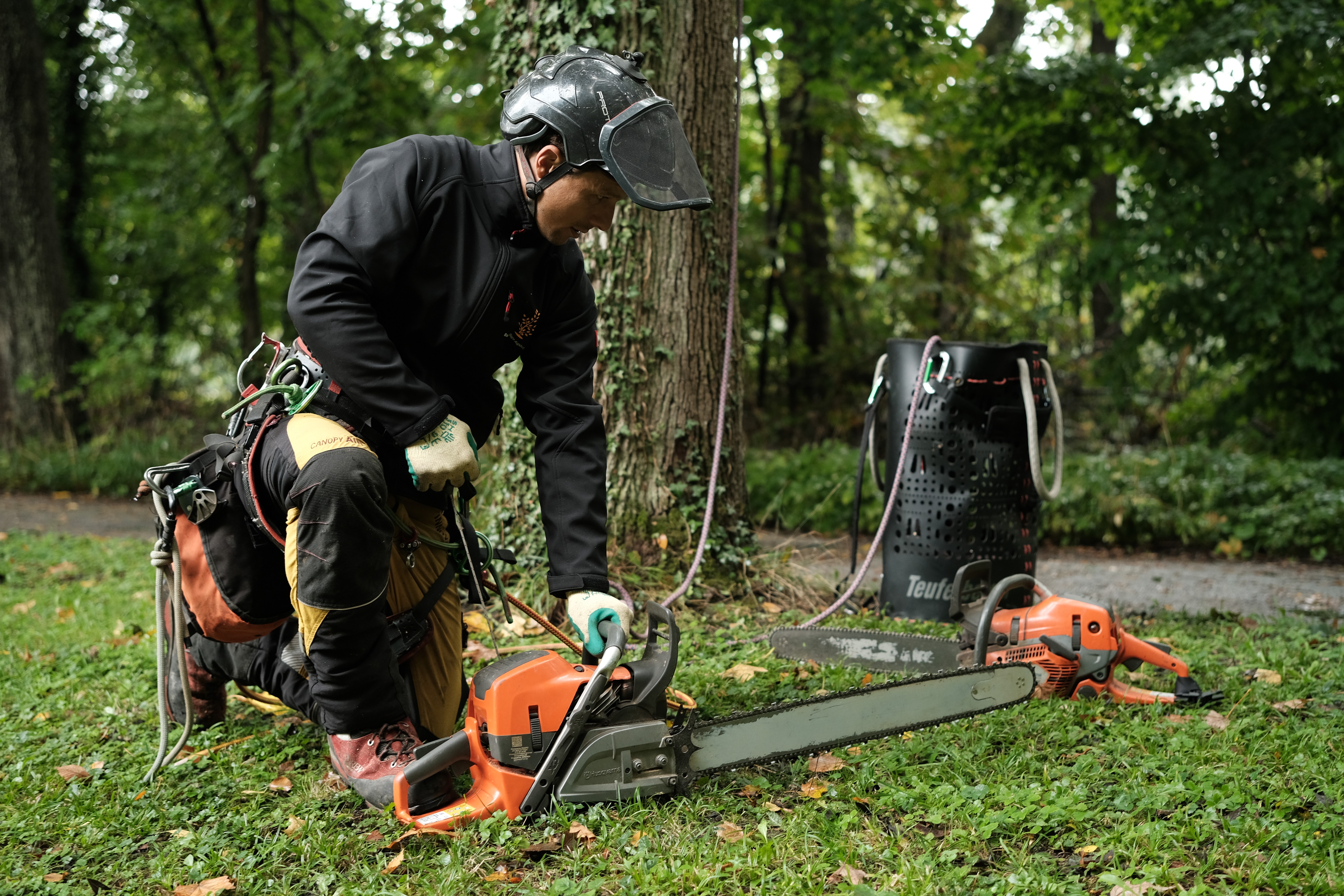 Baumpflege Augsburg / Baumfällung von Baumpfleger