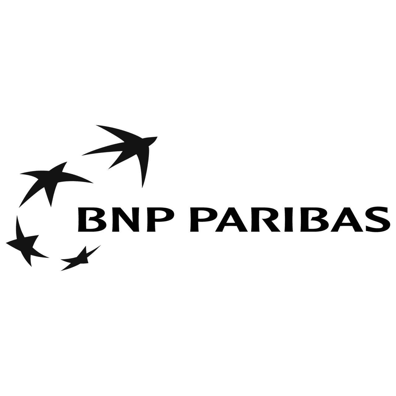BNB Paribas logo