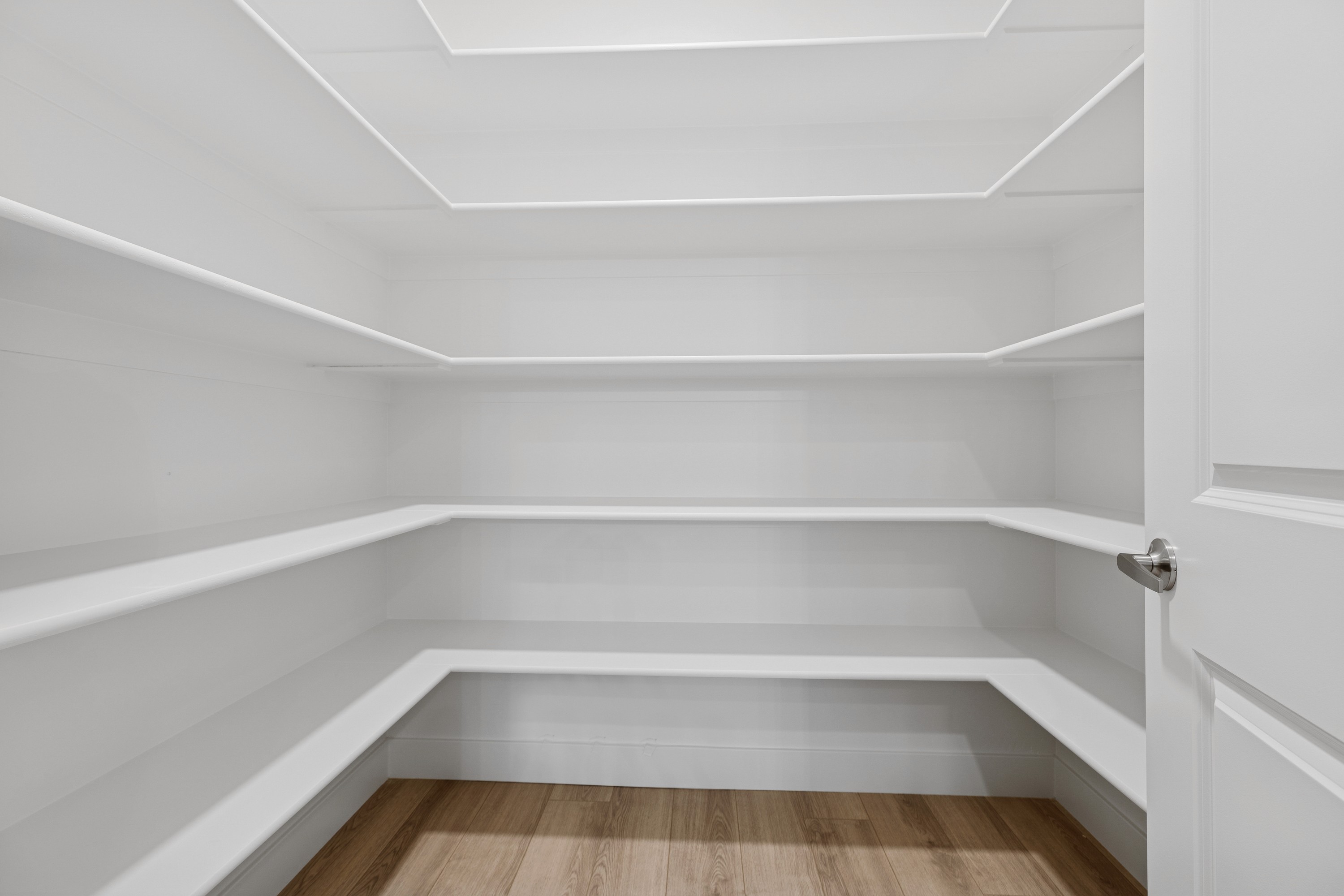 Walk-in pantry with shelving and organized storage space in The High Desert Home in Hurricane Utah.