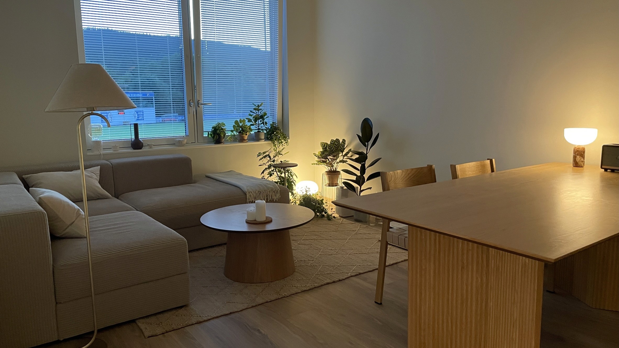 Interior Design of a Triangular Studio Apartment