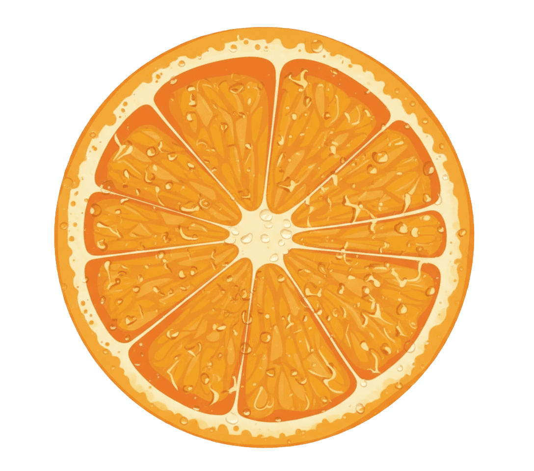 Orange slice sticker