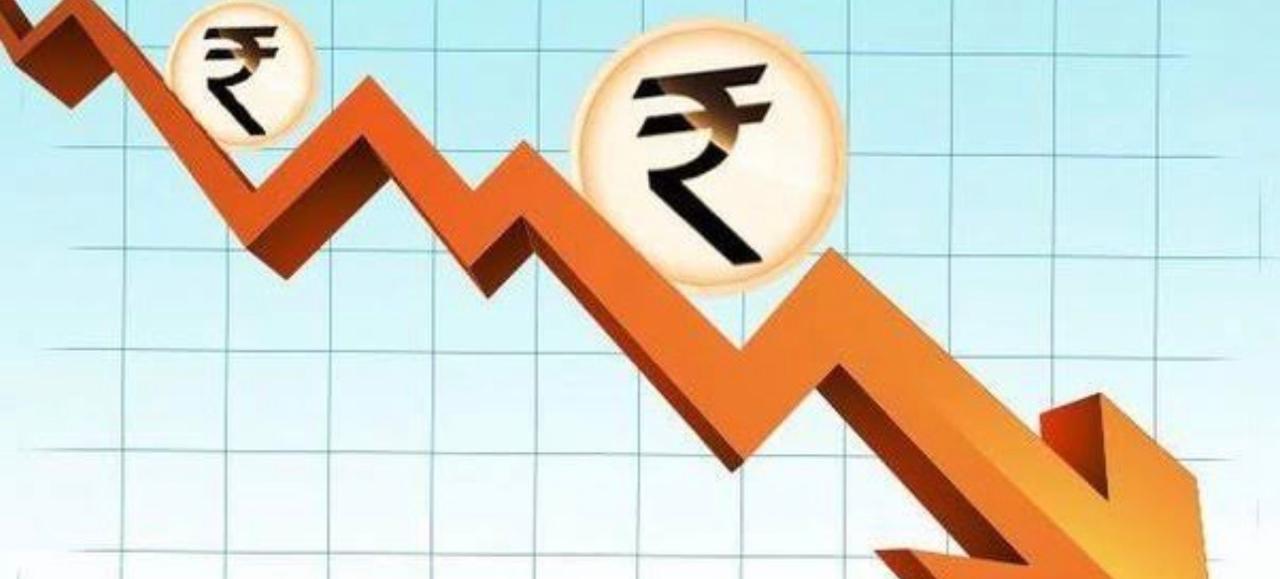 Close-up of lush, dark green leaves, some glossy and wet, against a muted background.